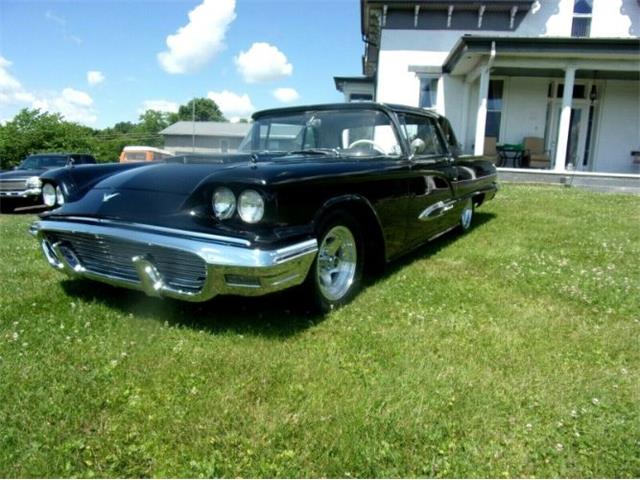 1959 Ford Thunderbird (CC-1368430) for sale in Cadillac, Michigan