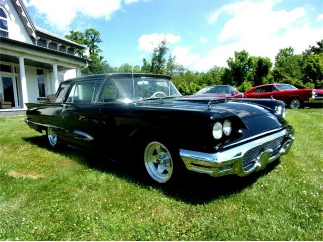 1959 Ford Thunderbird (CC-1368430) for sale in Cadillac, Michigan