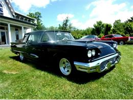 1959 Ford Thunderbird (CC-1368430) for sale in Cadillac, Michigan