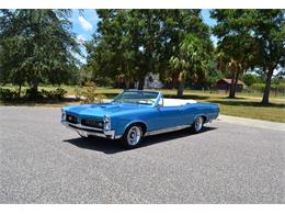 1967 Pontiac GTO (CC-1369113) for sale in Clearwater, Florida