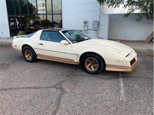 1984 Pontiac Firebird Trans Am (CC-1369354) for sale in Punta Gorda, Florida