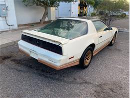 1984 Pontiac Firebird Trans Am (CC-1369354) for sale in Punta Gorda, Florida