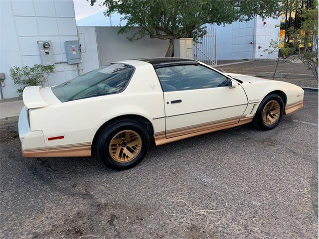 1984 Pontiac Firebird Trans Am (CC-1369354) for sale in Punta Gorda, Florida