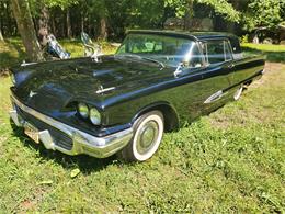 1959 Ford Thunderbird (CC-1360938) for sale in Prince George , Virginia