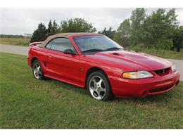 1997 Ford Mustang II Cobra (CC-1360939) for sale in okc, Oklahoma