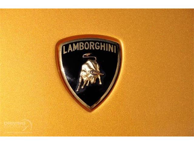 1920 Lamborghini Murcielago (CC-1372042) for sale in West Palm Beach, Florida