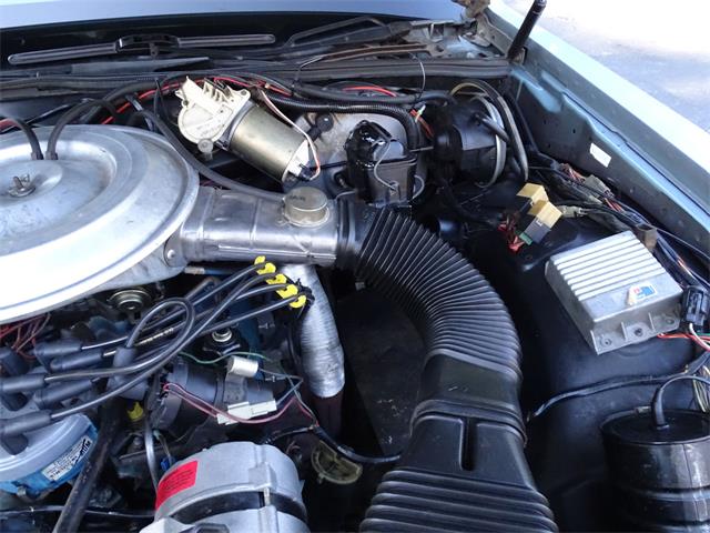 1981 Lincoln Town Car (CC-1372546) for sale in O'Fallon, Illinois