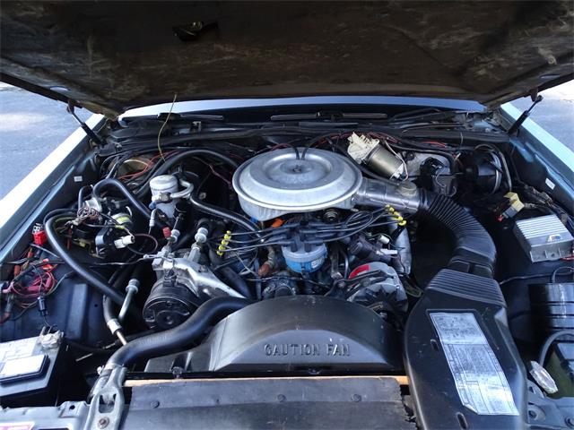 1981 Lincoln Town Car (CC-1372546) for sale in O'Fallon, Illinois