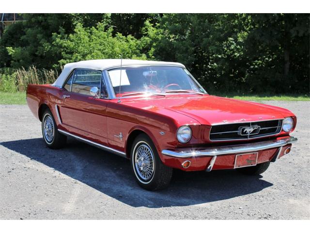 1919 Ford Mustang (CC-1372934) for sale in Hilton, New York