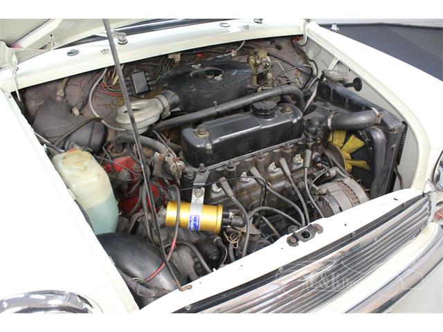 1988 MINI Cooper (CC-1373081) for sale in Waalwijk, Noord-Brabant
