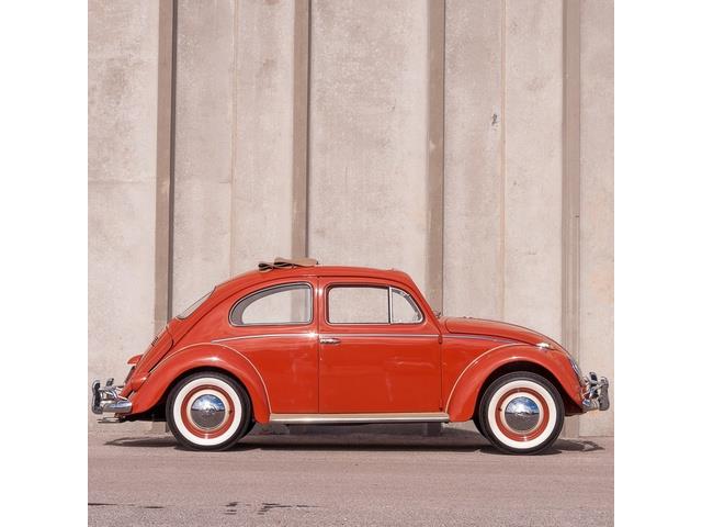 1959 Volkswagen Beetle (CC-1374699) for sale in St. Louis, Missouri