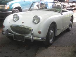 1960 Austin-Healey 100M (CC-1375040) for sale in Stratford, Connecticut