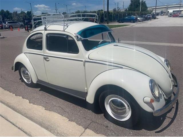 1957 Volkswagen Beetle (CC-1376188) for sale in Punta Gorda, Florida