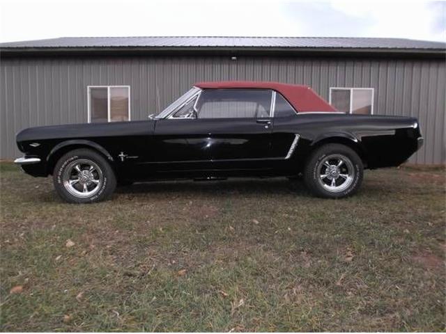 1965 Ford Mustang (CC-1376511) for sale in Cadillac, Michigan