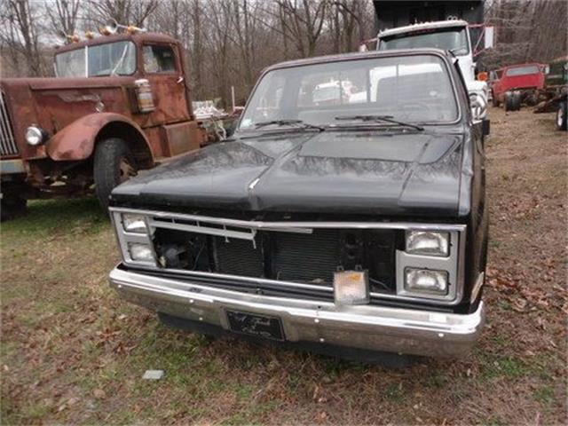 1985 Chevrolet Pickup (CC-1376745) for sale in Cadillac, Michigan