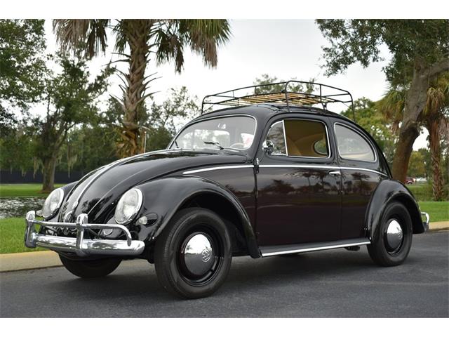 1956 Volkswagen Beetle (CC-1376971) for sale in Lakeland, Florida