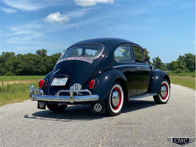 1966 Volkswagen Beetle (CC-1377341) for sale in Apex, North Carolina
