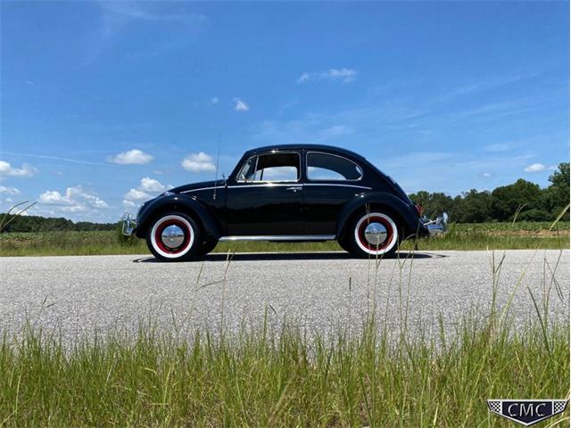 1966 Volkswagen Beetle (CC-1377341) for sale in Apex, North Carolina