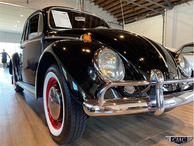 1966 Volkswagen Beetle (CC-1377341) for sale in Apex, North Carolina