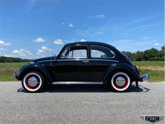 1966 Volkswagen Beetle (CC-1377341) for sale in Apex, North Carolina