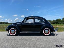1966 Volkswagen Beetle (CC-1377341) for sale in Apex, North Carolina