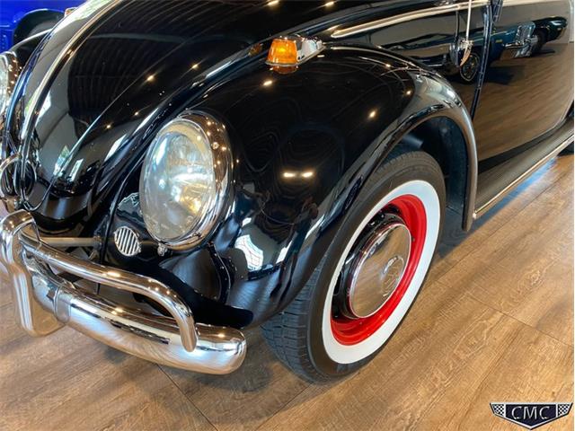 1966 Volkswagen Beetle (CC-1377341) for sale in Apex, North Carolina
