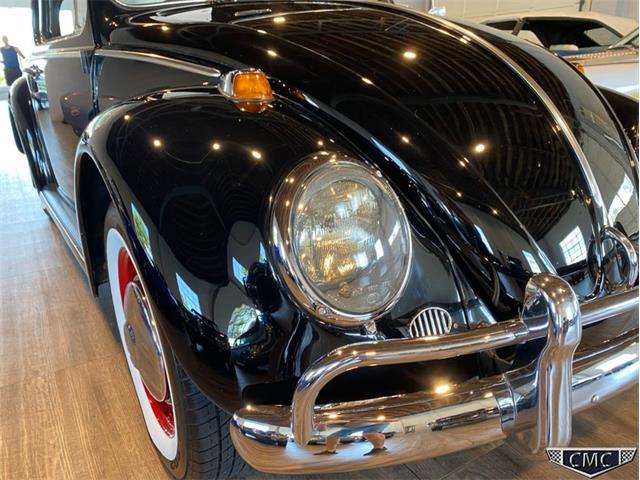 1966 Volkswagen Beetle (CC-1377341) for sale in Apex, North Carolina