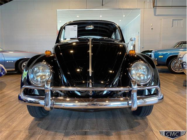 1966 Volkswagen Beetle (CC-1377341) for sale in Apex, North Carolina