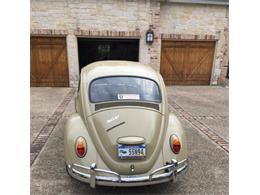 1967 Volkswagen Beetle (CC-1379408) for sale in San Antonio, Texas