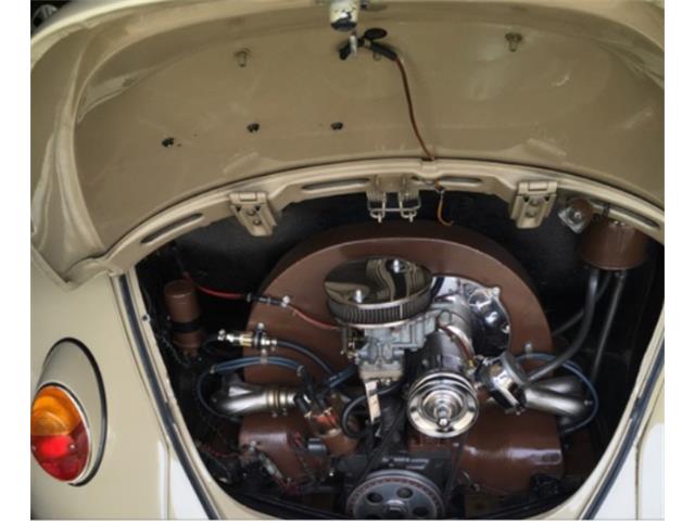 1967 Volkswagen Beetle (CC-1379408) for sale in San Antonio, Texas