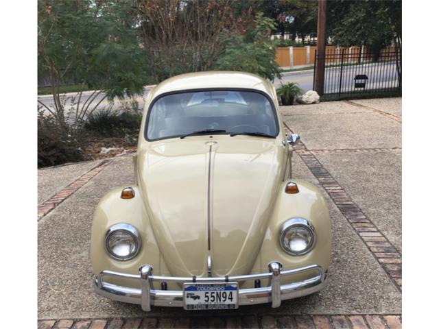 1967 Volkswagen Beetle (CC-1379408) for sale in San Antonio, Texas