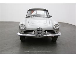 1965 Alfa Romeo Giulia Spider Veloce (CC-1379472) for sale in Beverly Hills, California