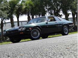 1980 Jaguar XJS (CC-1379662) for sale in Palmetto, Florida