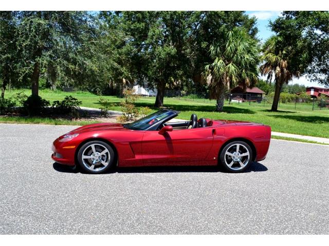 2008 Chevrolet Corvette (CC-1379842) for sale in Clearwater, Florida