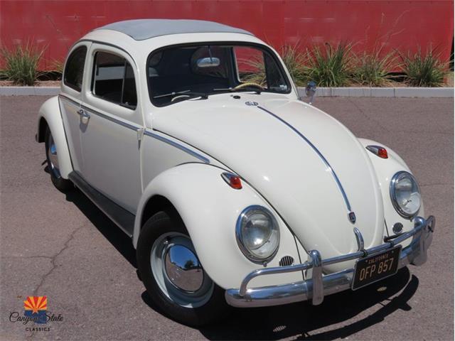 1962 Volkswagen Beetle (CC-1381062) for sale in Tempe, Arizona