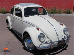1962 Volkswagen Beetle (CC-1381062) for sale in Tempe, Arizona