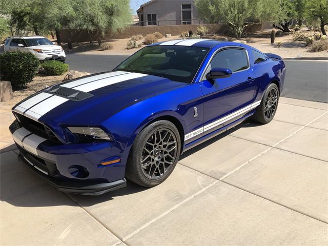 2014 Shelby GT500 (CC-1381286) for sale in Mesa, Arizona