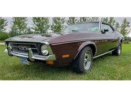 1971 Ford Mustang (CC-1381425) for sale in Cadillac, Michigan