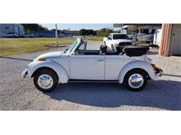 1976 Volkswagen Super Beetle (CC-1381430) for sale in Cadillac, Michigan