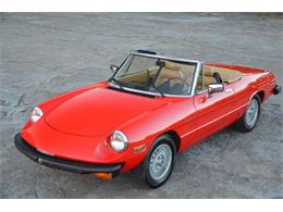 1981 Alfa Romeo Spider (CC-1381535) for sale in Lebanon, Tennessee
