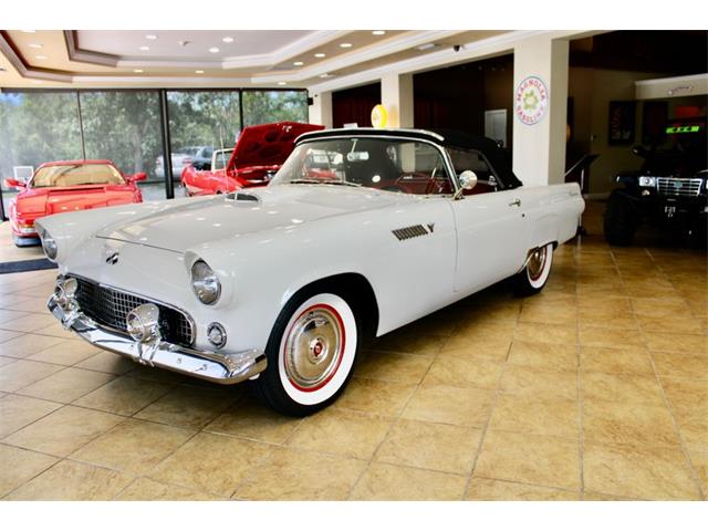 1955 Ford Thunderbird (CC-1382685) for sale in Sarasota, Florida