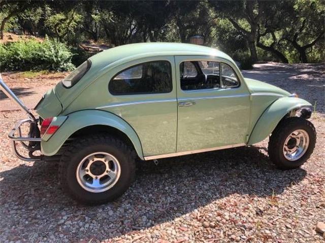 1969 Volkswagen Beetle (CC-1380346) for sale in Cadillac, Michigan