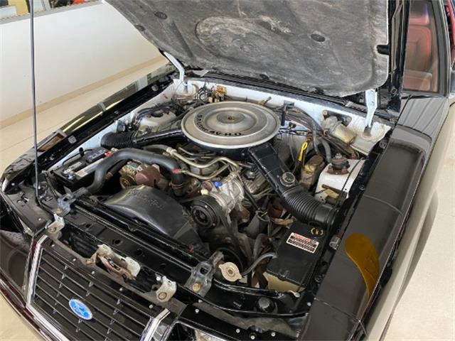 1984 Ford Mustang (CC-1384072) for sale in Columbus, Ohio