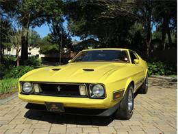 1973 Ford Mustang (CC-1384747) for sale in Lakeland, Florida