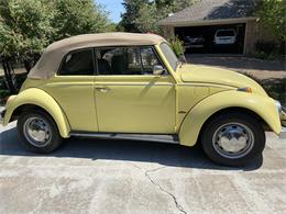 1969 Volkswagen Super Beetle (CC-1385648) for sale in FORT WORTH, Texas