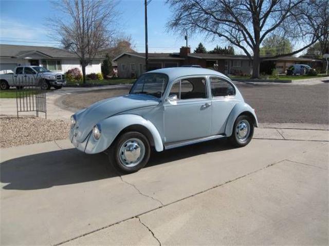 1969 Volkswagen Beetle (CC-1385863) for sale in Cadillac, Michigan