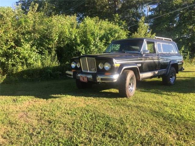 1980 Jeep Cherokee (CC-1385880) for sale in Cadillac, Michigan