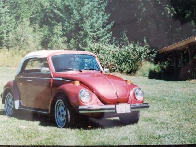 1978 Volkswagen Beetle (CC-1386707) for sale in Cadillac, Michigan