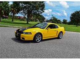 2004 Ford Mustang SVT Cobra (CC-1391708) for sale in Clearwater, Florida