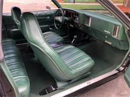 1973 Chevrolet Monte Carlo (CC-1391817) for sale in Maple Lake, Minnesota
